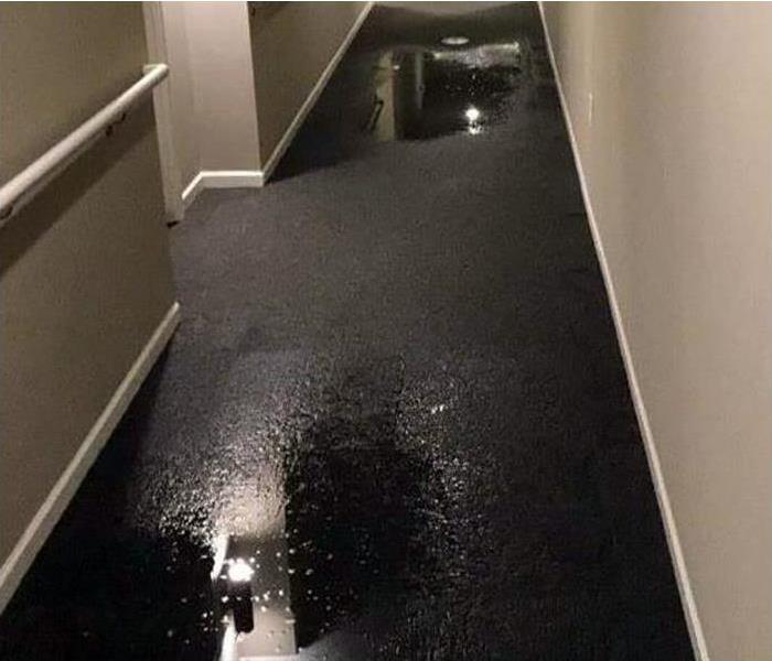 water damaged carpeting in hallway