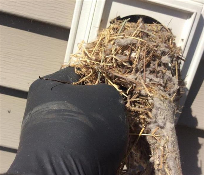 a birds nest being pulled out of a dryer vent